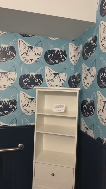 Falls Perk Coffee House - Bathroom has cat wallpaper! - Coffee & Tea Near Me - Pendleton, Indiana