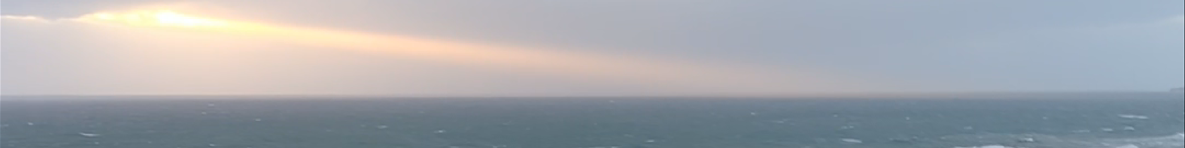 Tours & experiences in Port Campbell