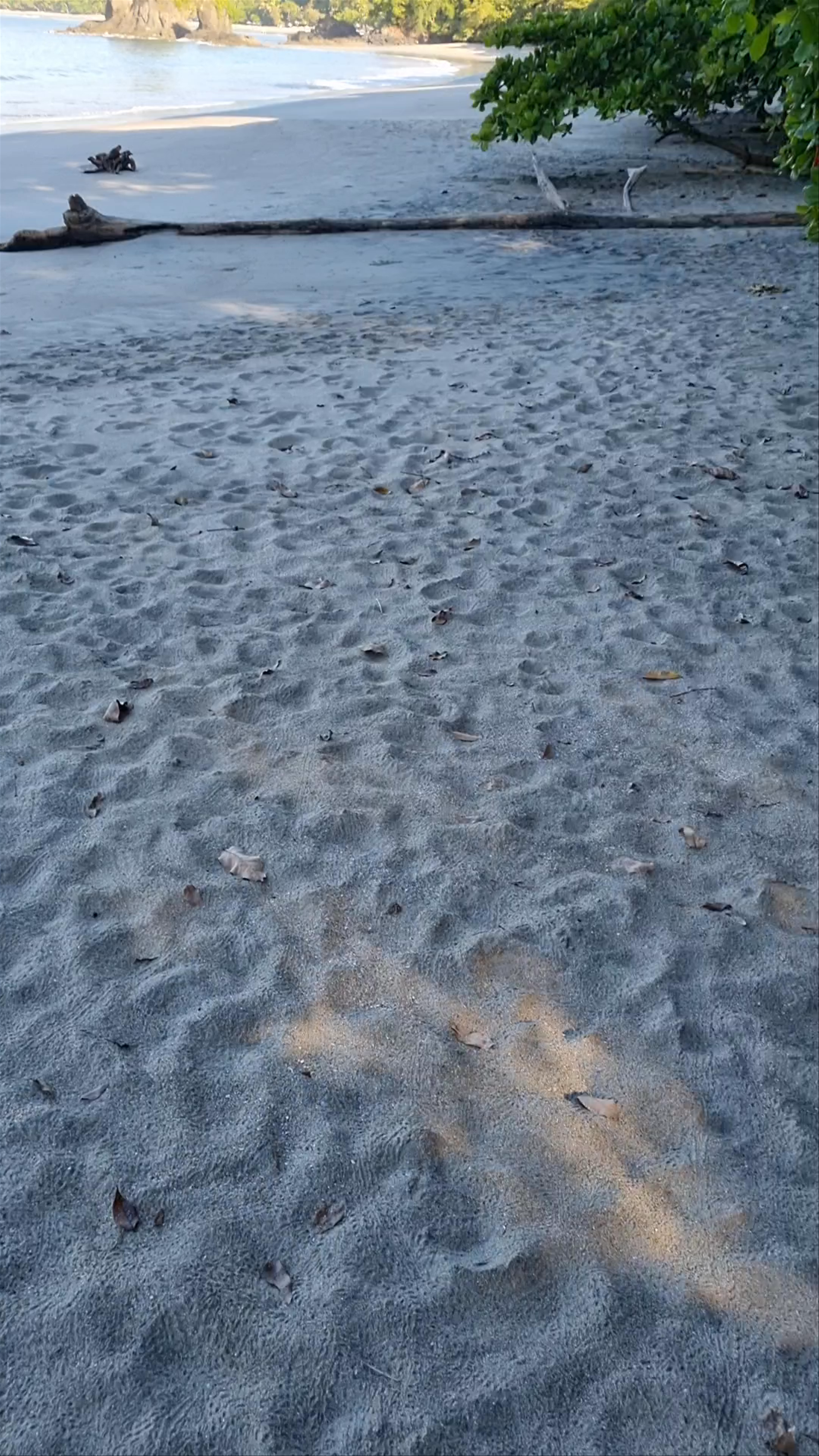 Tranquil Morning at Playa Espadilla Sur, Costa Rica