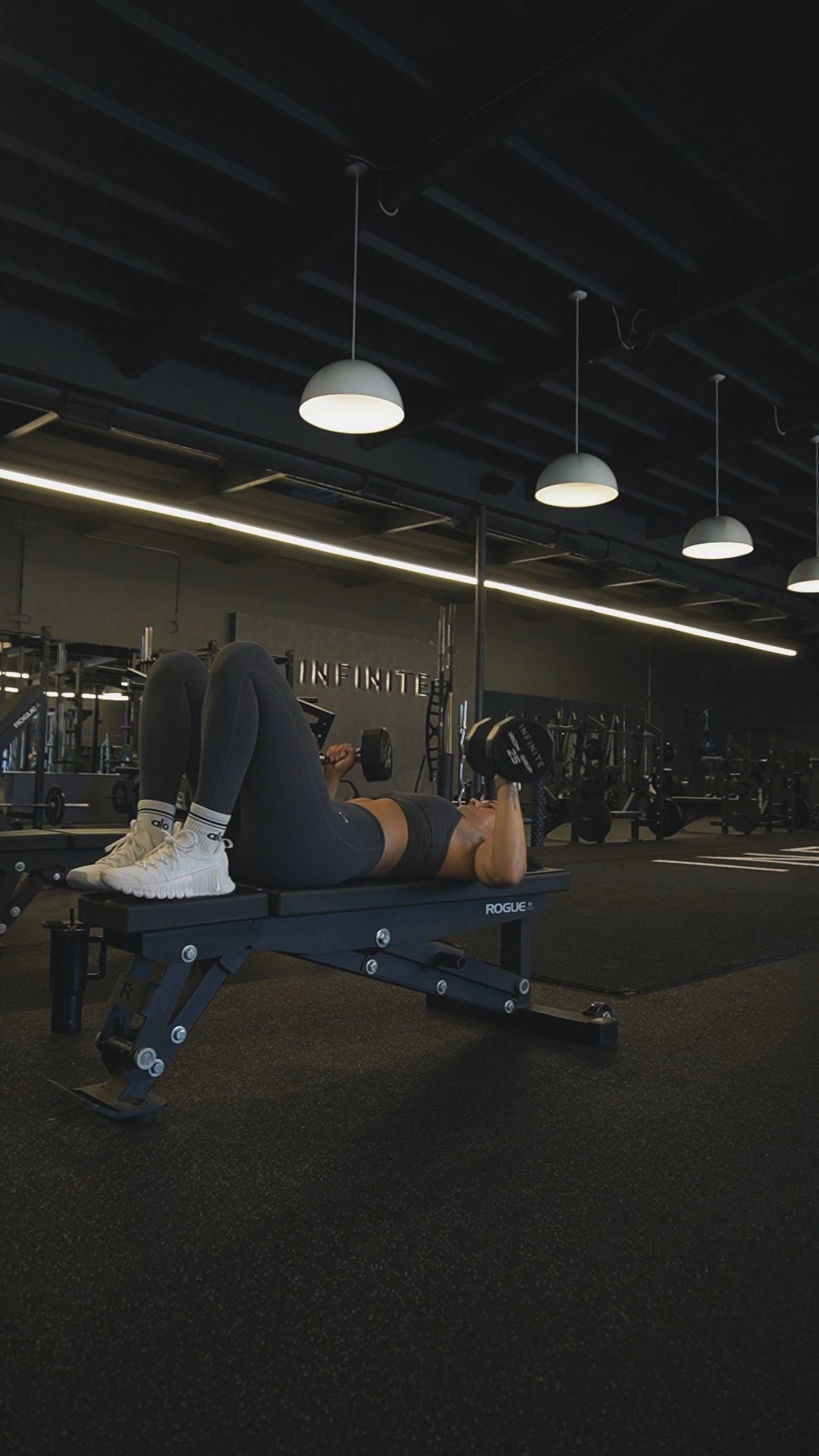 Beginner DB Upper Body