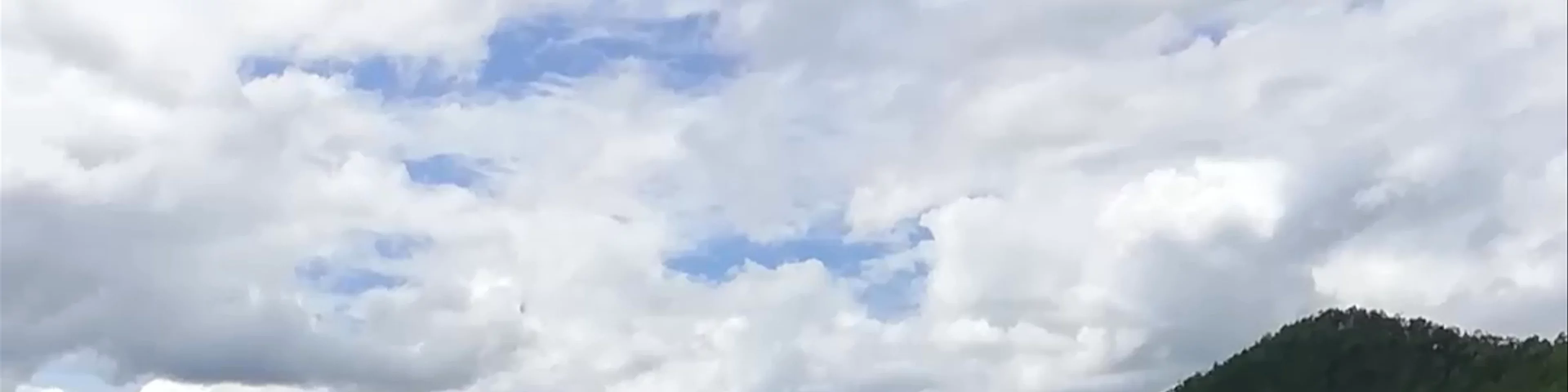 Pai