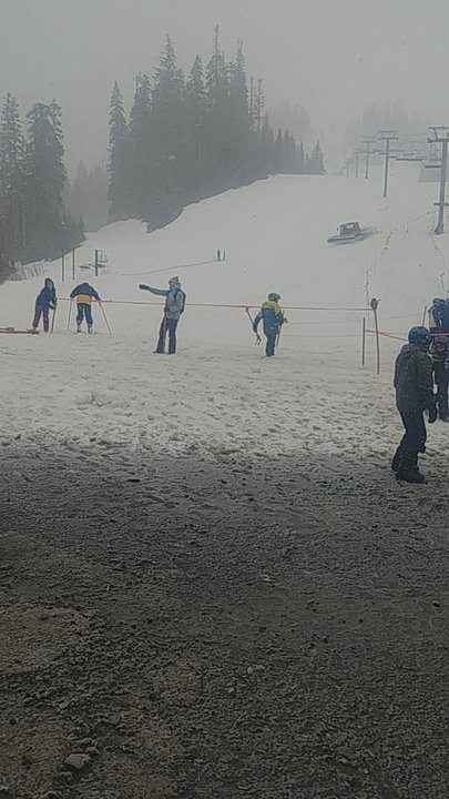 Mt Baker Ski Area - Golden egg hunt today - Ski Resorts Near Me - Bellingham, Washington