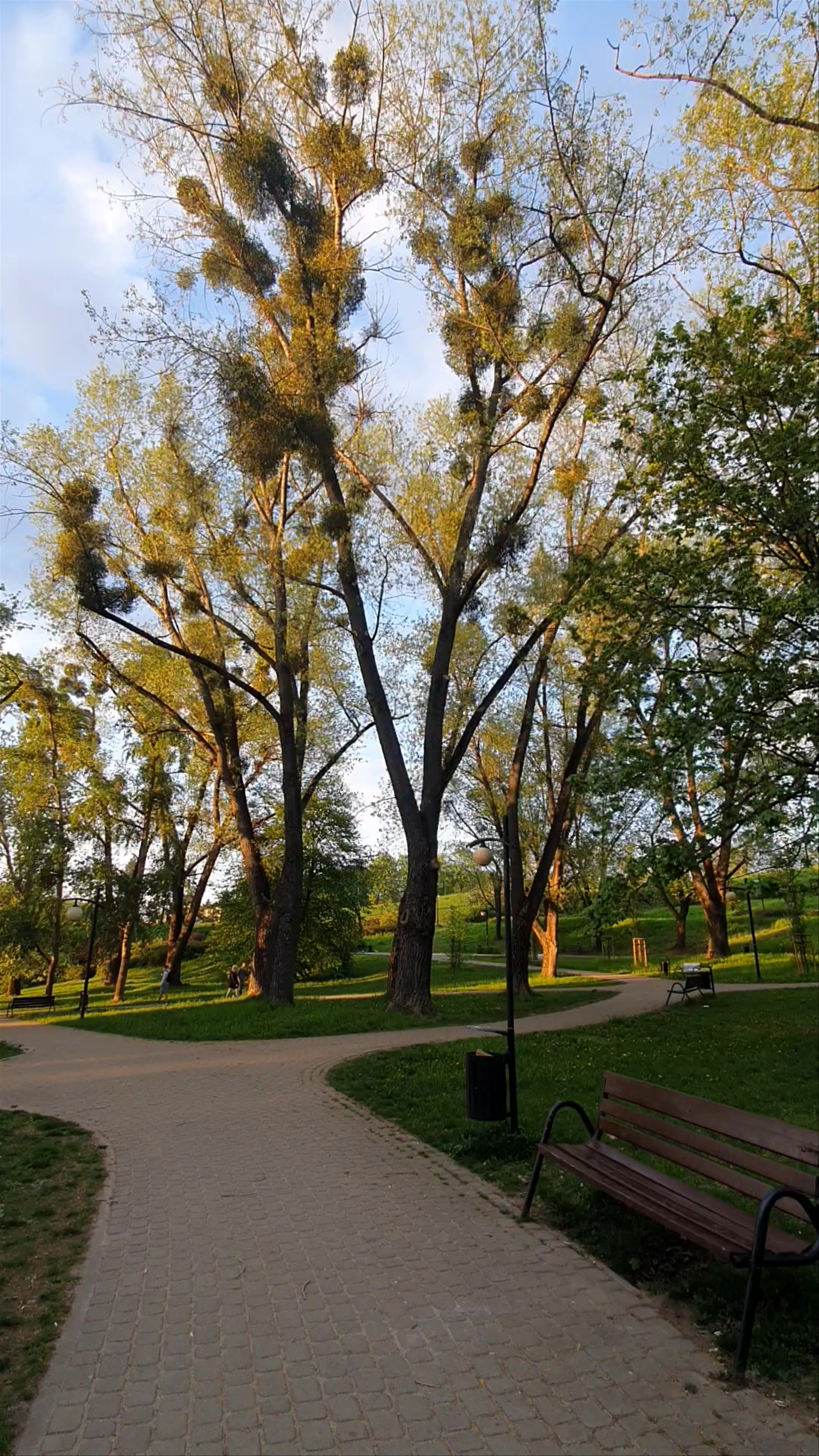 Park Moczydło w Warszawie