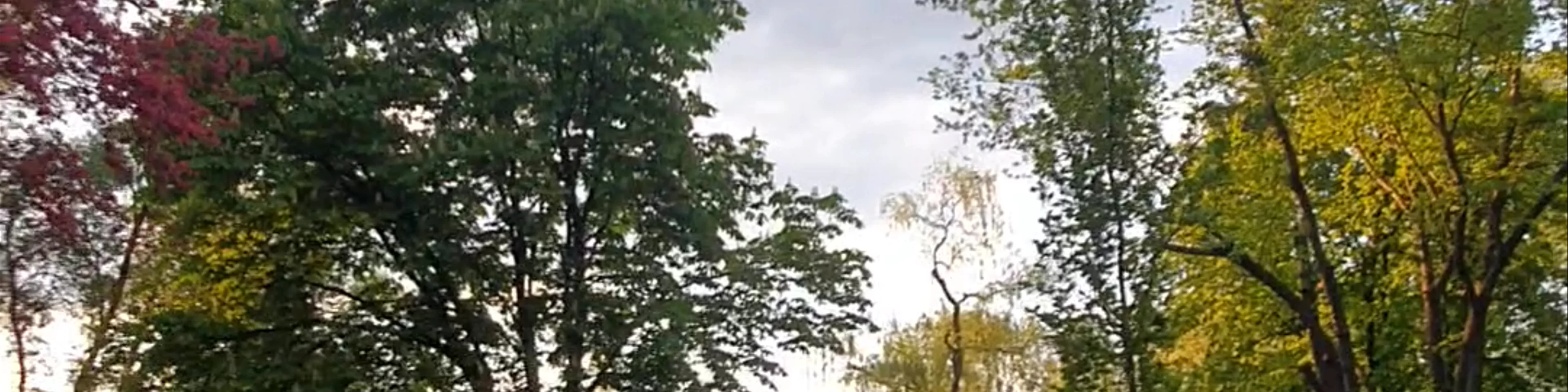 Park Moczydło w Warszawie