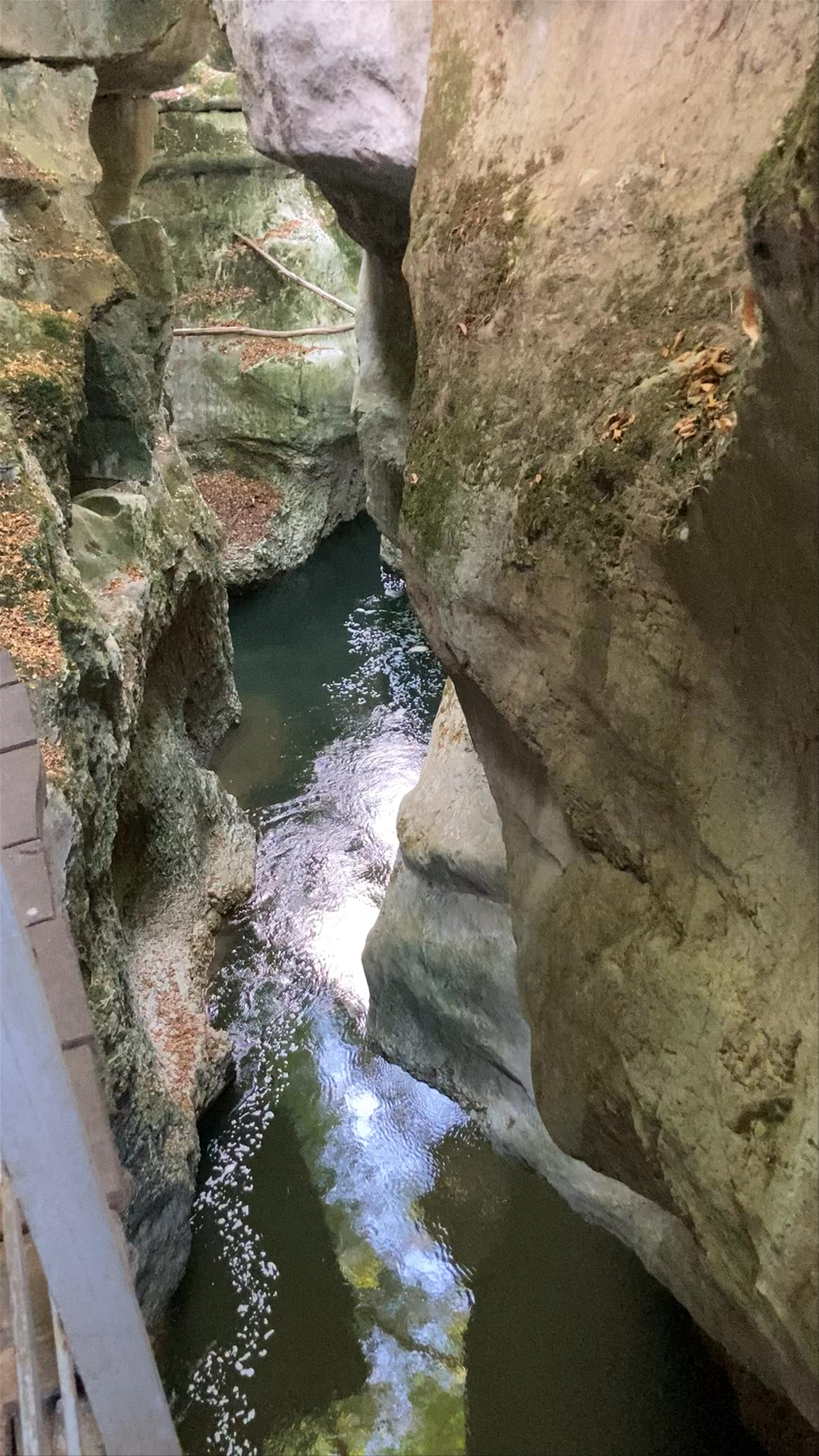 Gorges du Fier