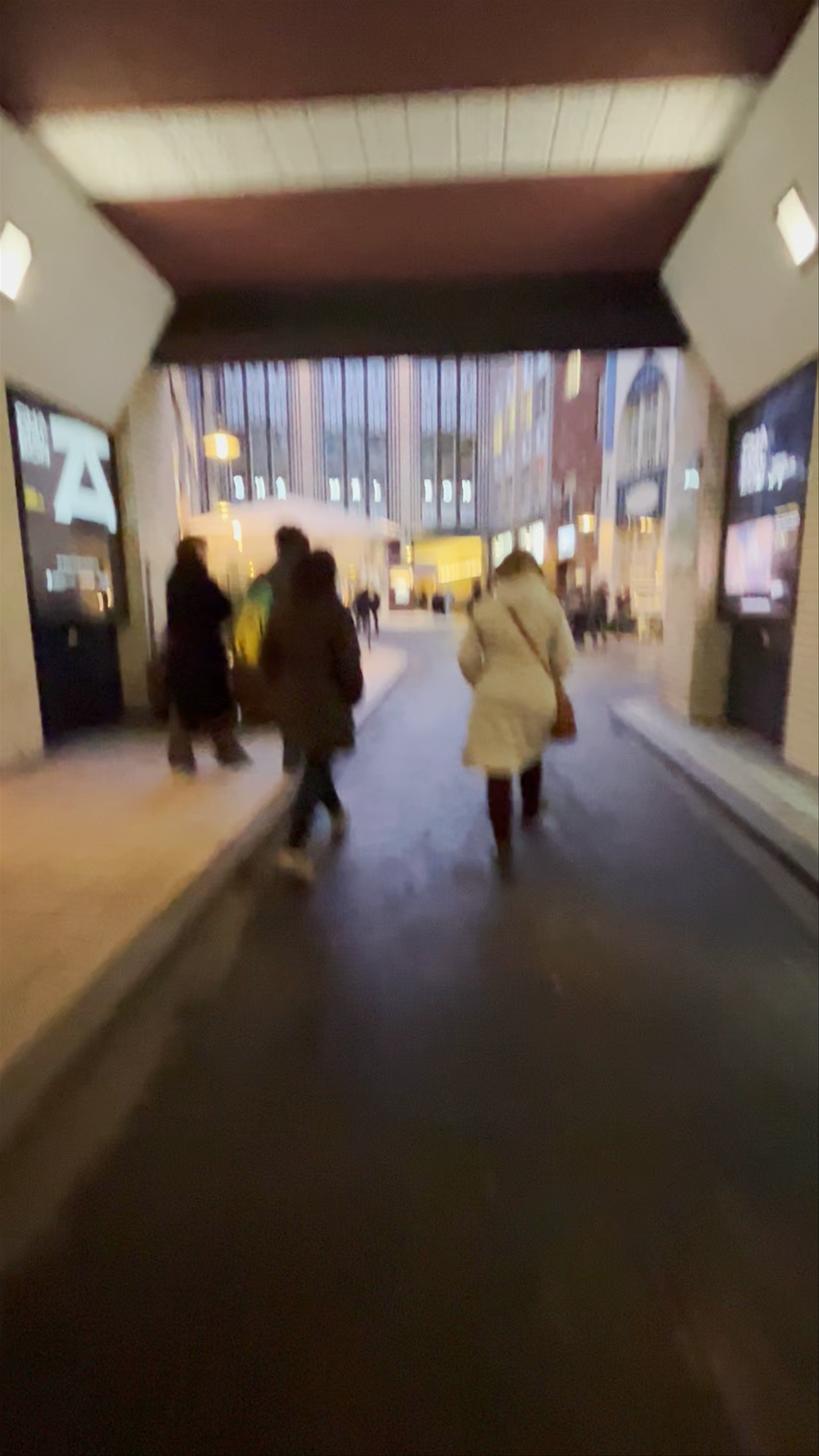 Die Hackeschen Höfe