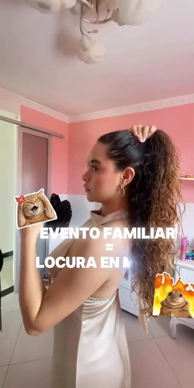 Contenido del creador