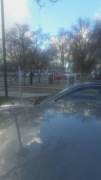 Boise Public Library - So many people waiting for the library to open! Beautiful!! - Libraries Near Me - Boise, Idaho
