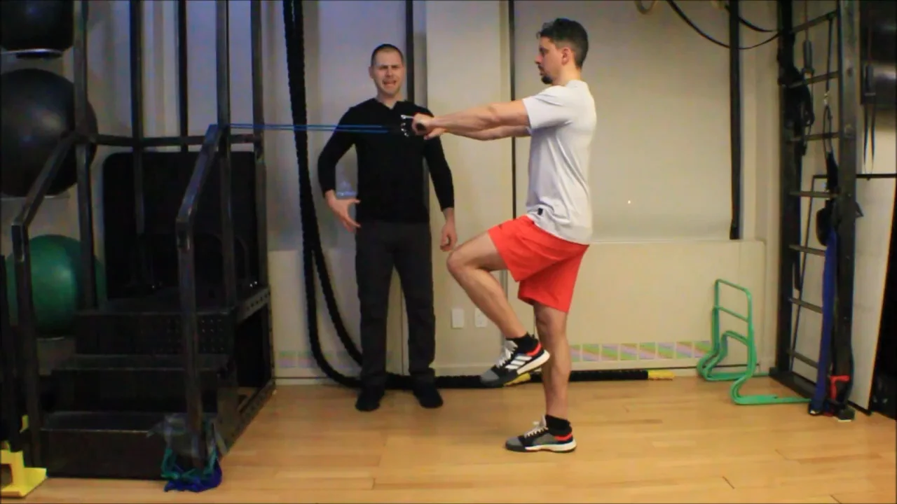 Single Leg Alternating Horizontal Abduction with External Rotation