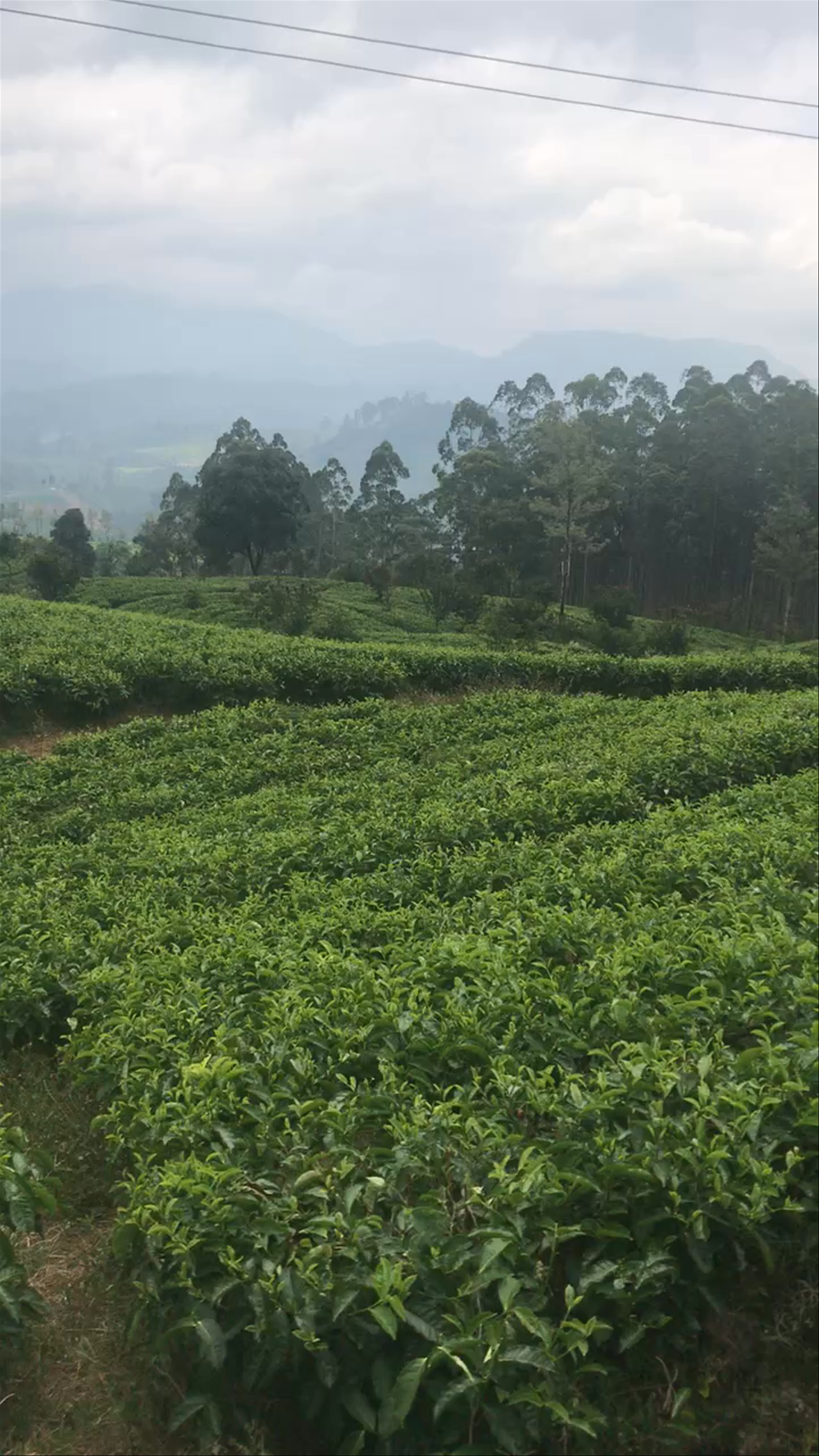 Wellawaya-Ella-Kumbalwela Hwy