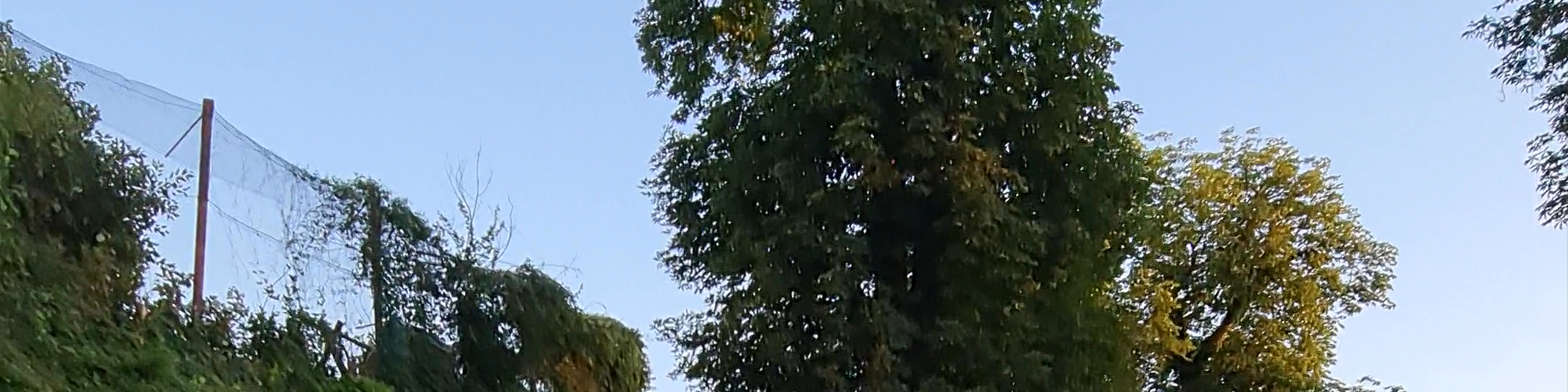 Romania