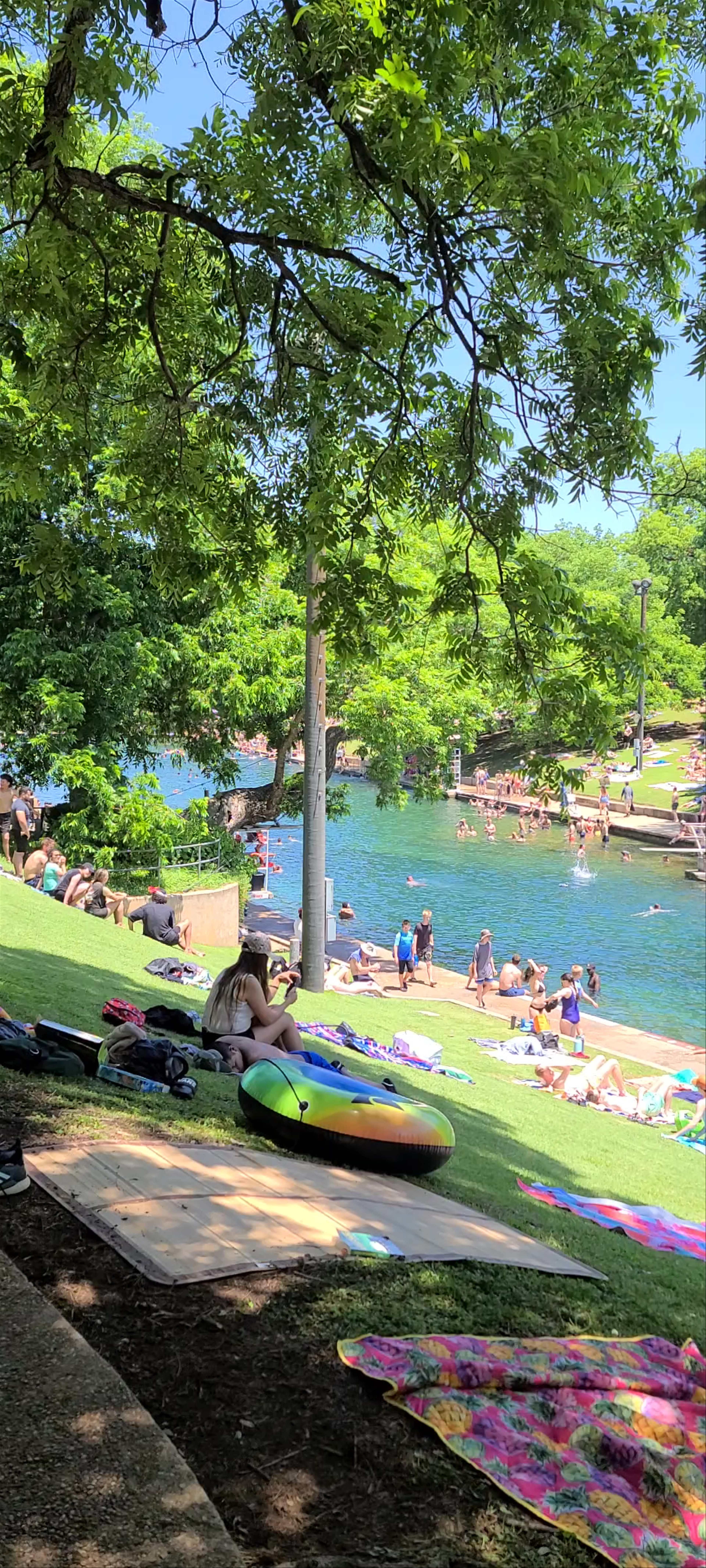 Barton Springs Municipal Pool