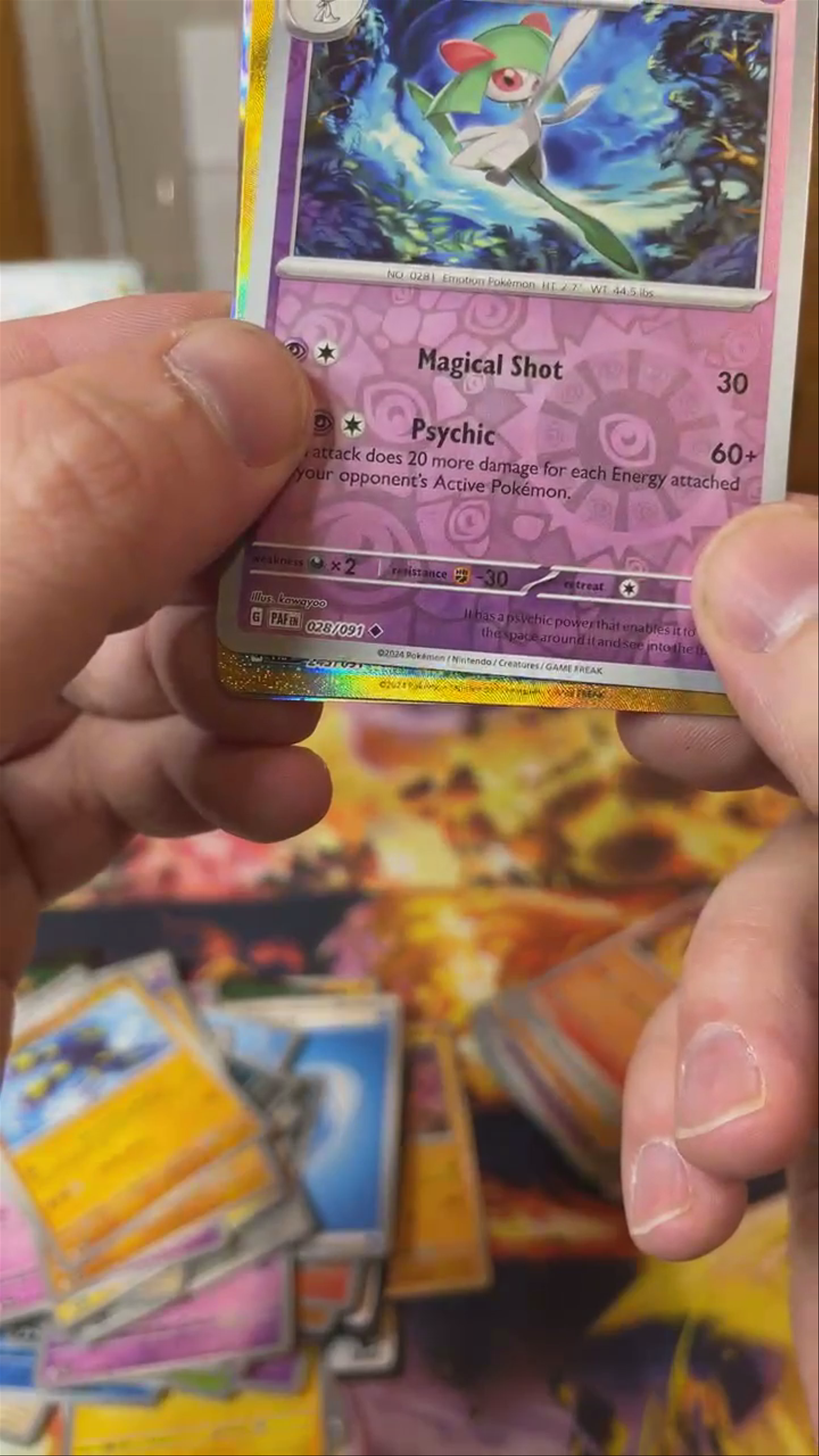 Pokemon Day 2024 Hit #5