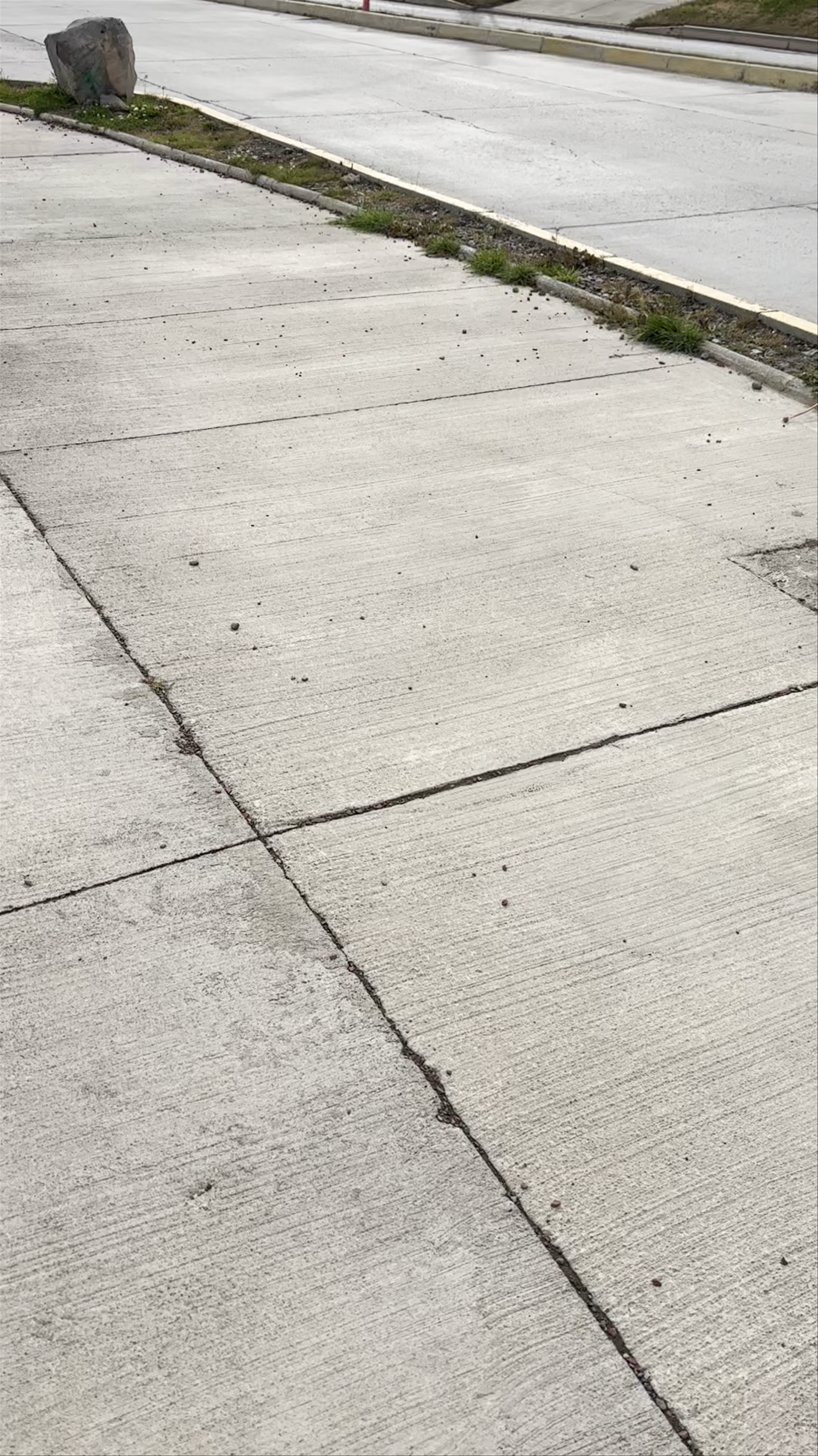 Monumento Alberto De Agostini - Avenue Pedro Montt