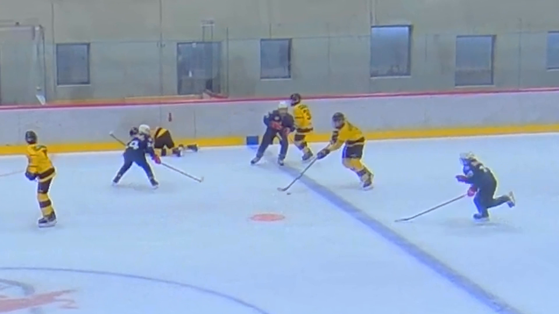 U15 - Vienna Capitals | Season 2024-2025