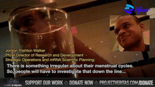 Video Thumbnail Loop