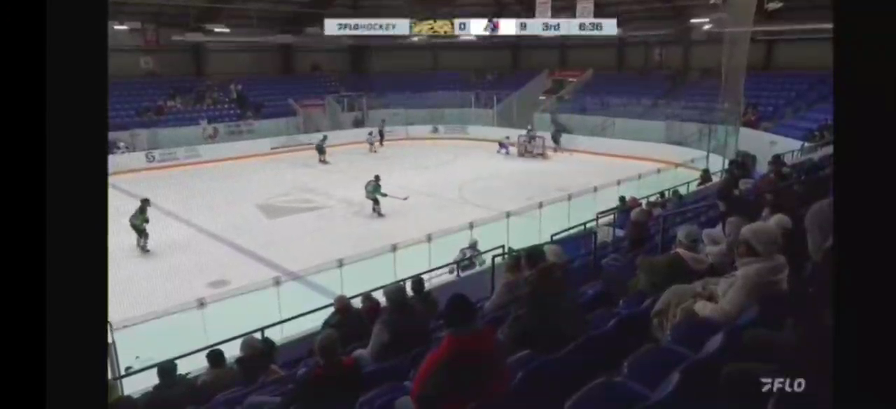 Vsevolod Bashutin's Stunning Highlights: Skills, Assists & More!