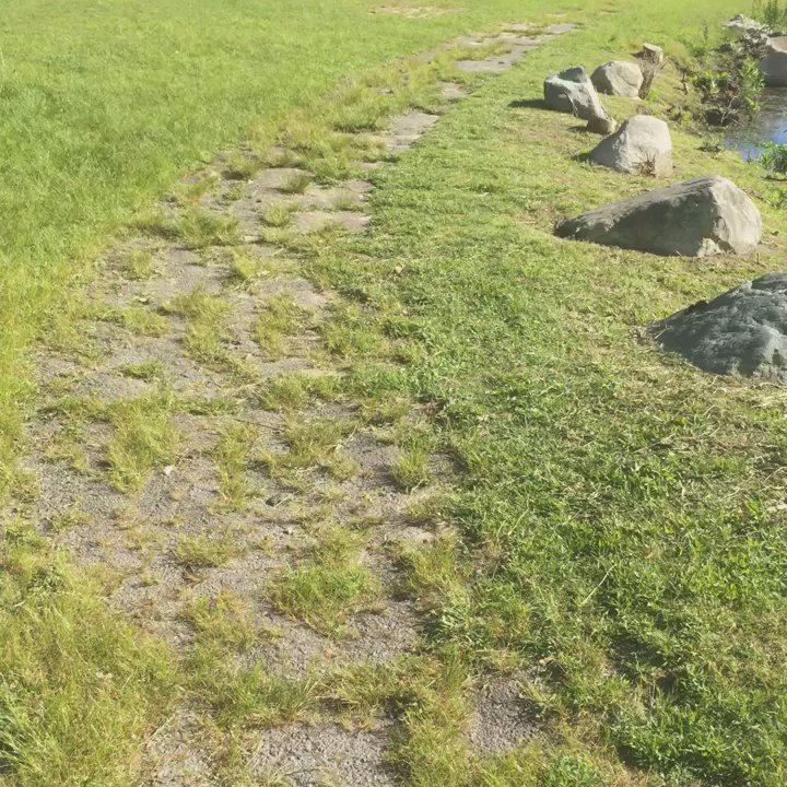 D W Field Park - Parks Near Me - Brockton, Massachusetts