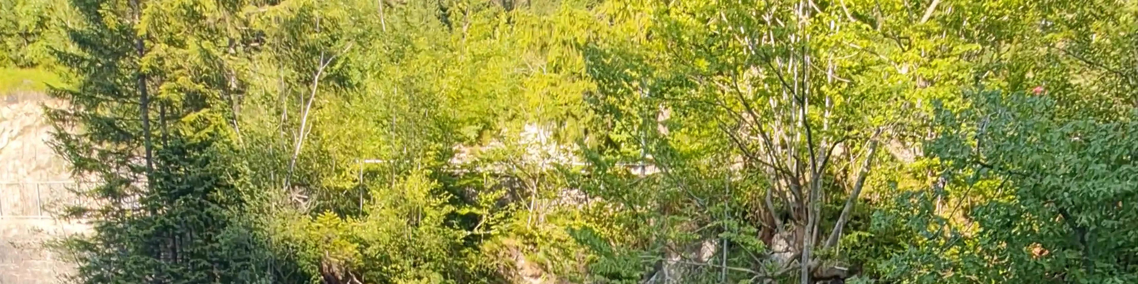 Lechfall
