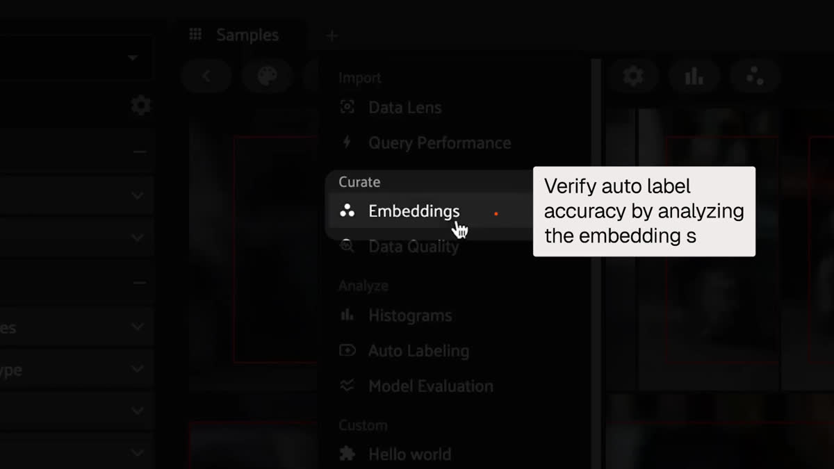 Demo of the Verified Auto Labeling workflow within Voxel51