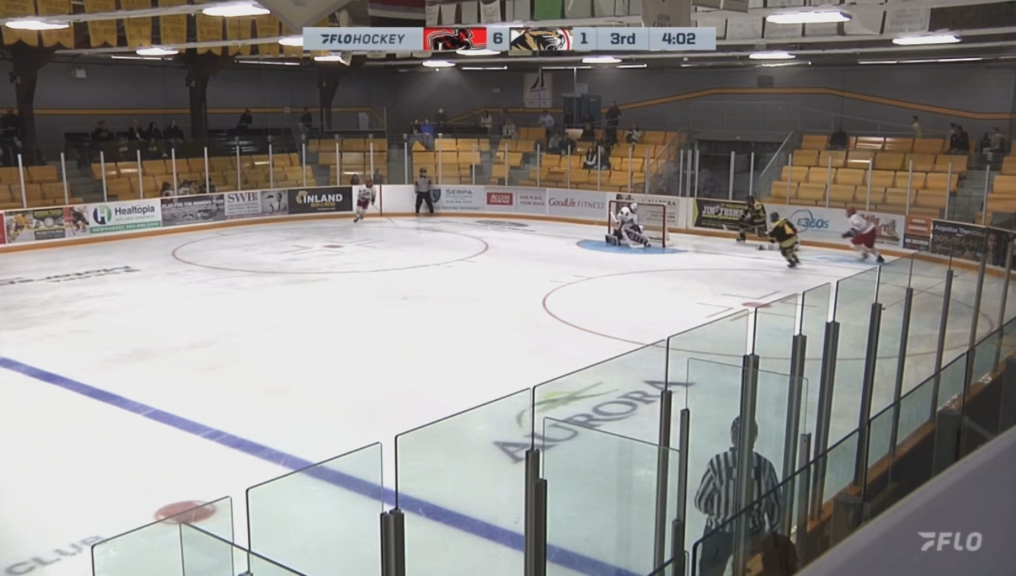 Thomas Leone: Aurora Tigers