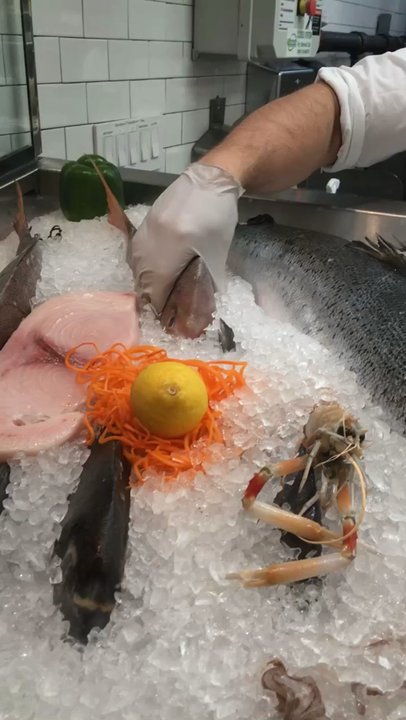 Taverna Kyclades - Bayside - Fresh fish for dinner - Greek Near Me - Bayside, New York