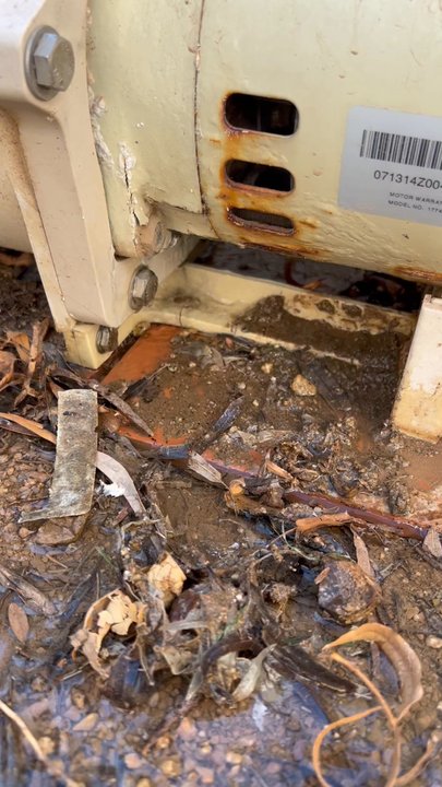 Brilliant Pools - Leak caused by overheated pump - Pool Cleaners Near Me - Scottsdale, Arizona