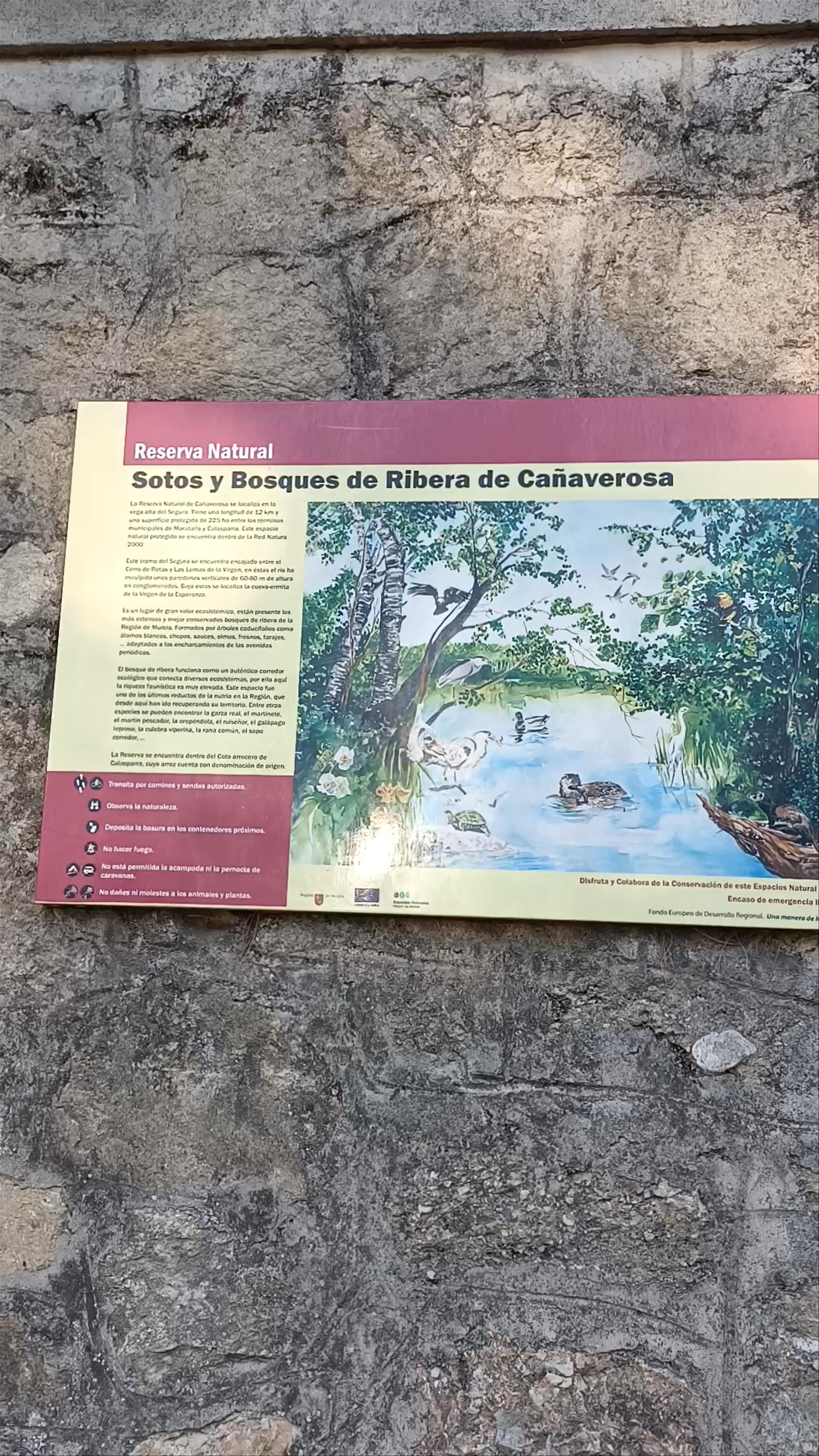 Sotos y Bosques de Ribera de Cañaverosa