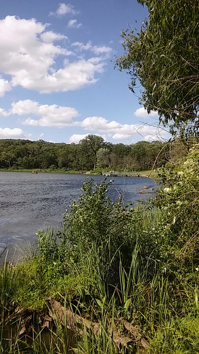 Maple Lake - Lakes Near Me - Willow Springs, Illinois