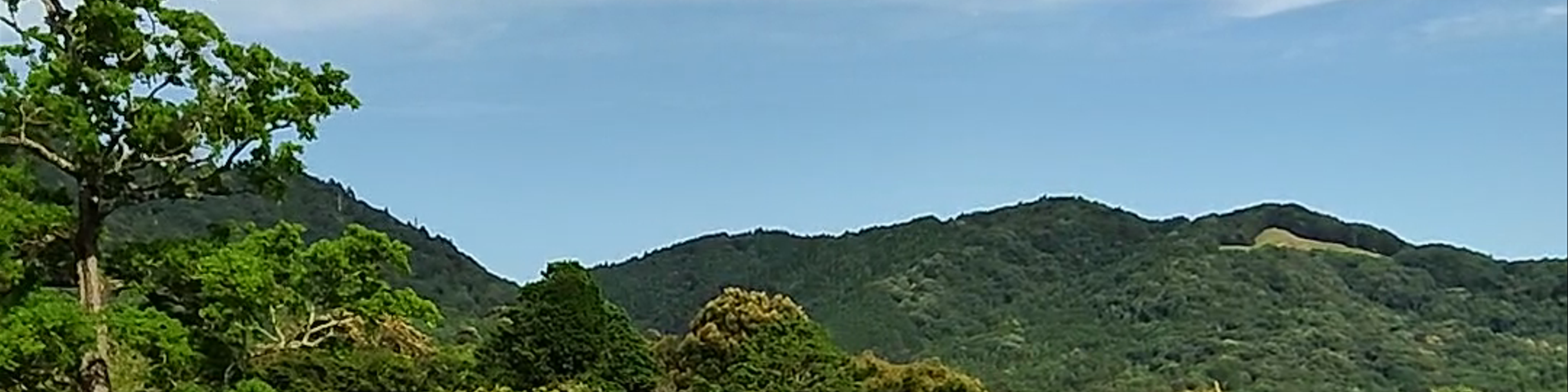 Nara-shi