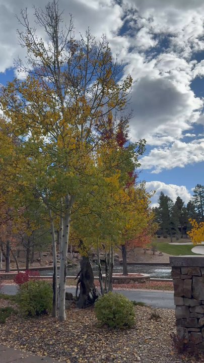Pine Canyon Golf Club - We love Pine Canyon!! So much we became residents. The best community. - Golf Near Me - Flagstaff, Arizona