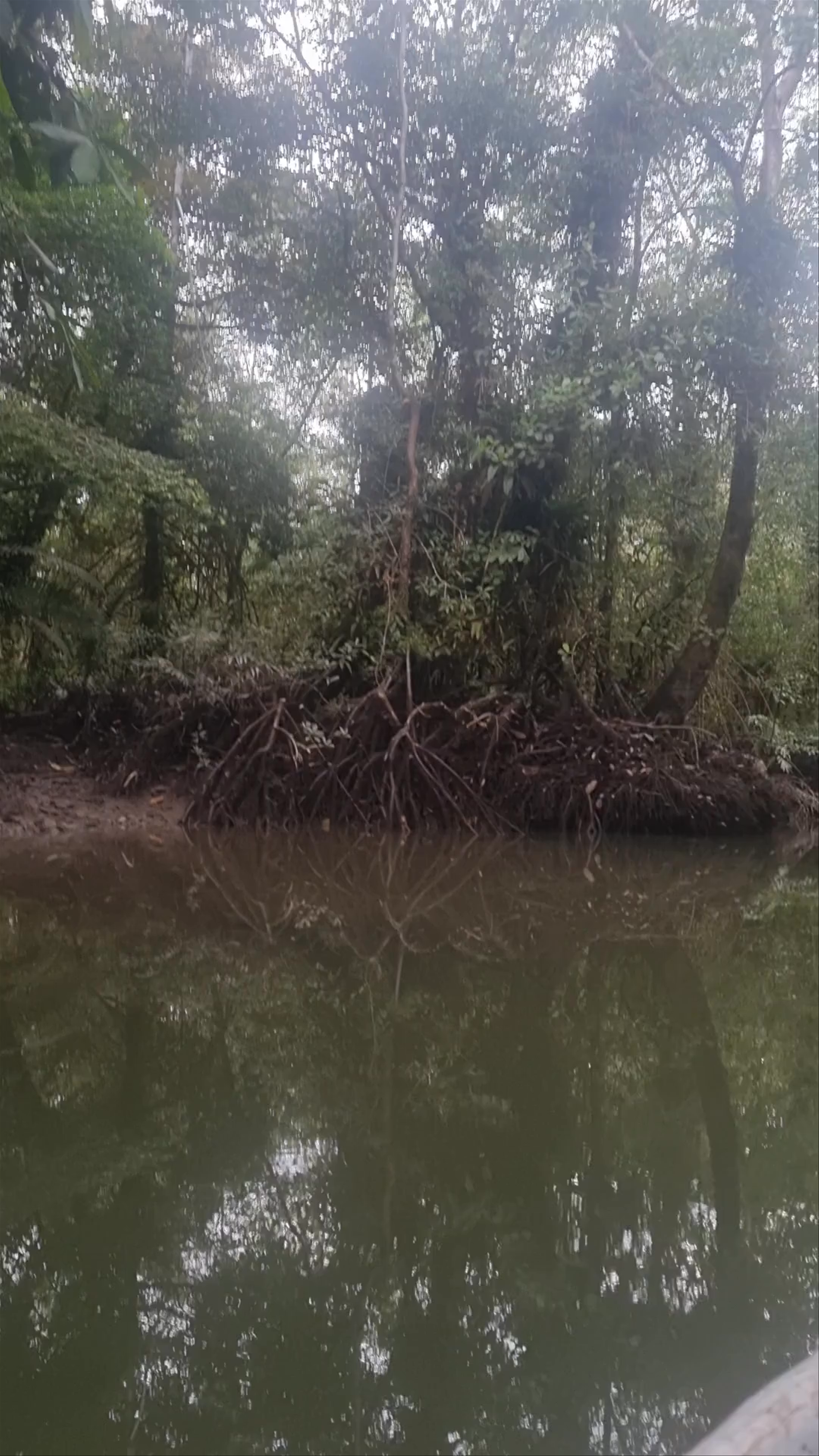 Piscina Natural Sardineras