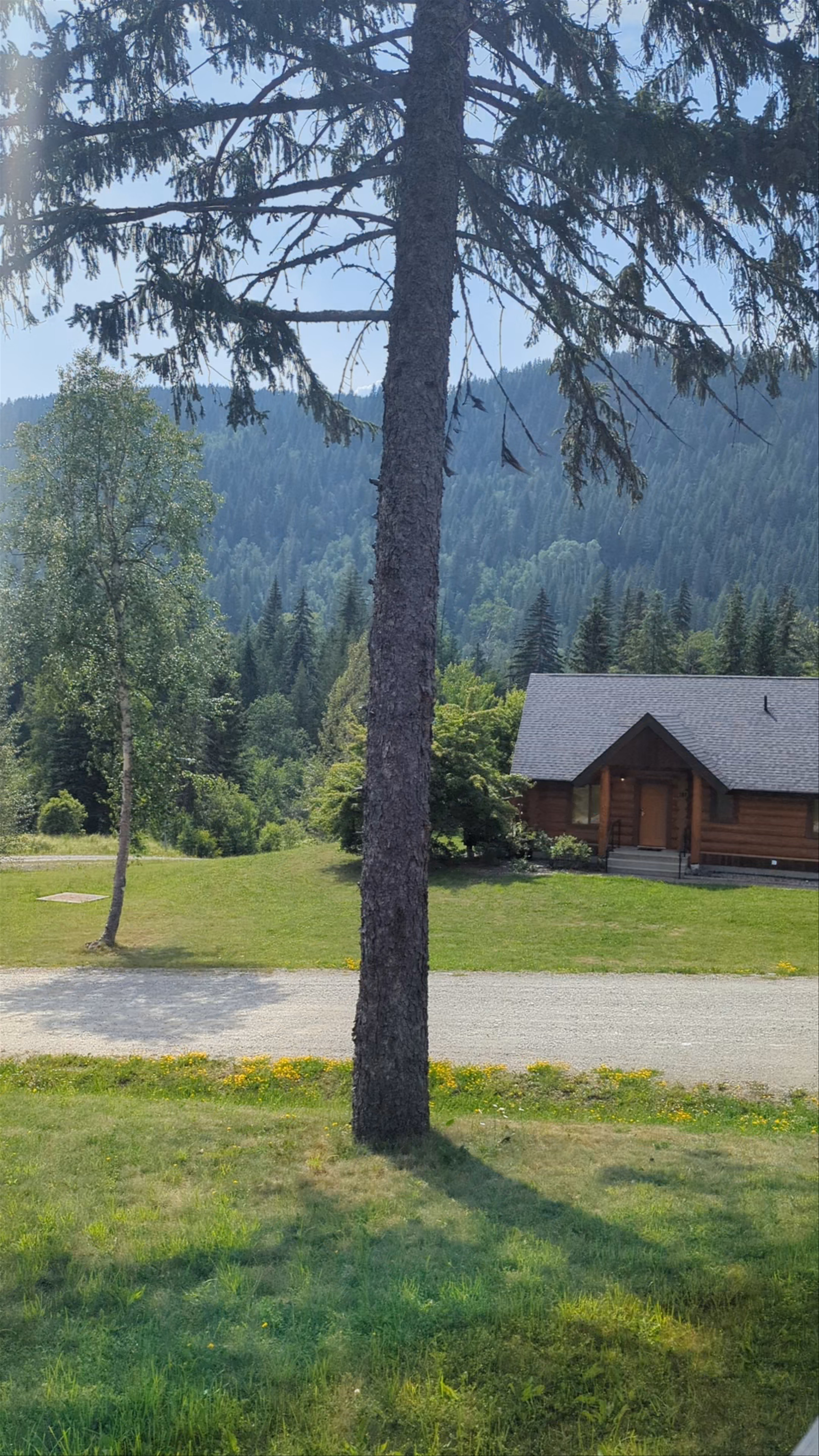 Alpine Meadows Resort