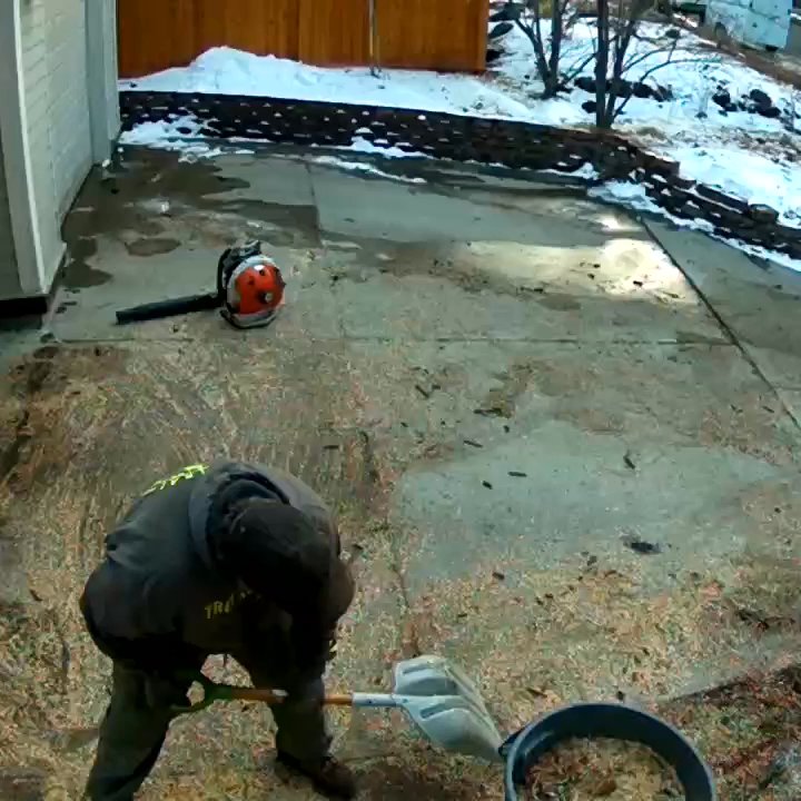 Central Oregon Tree Experts - Here is a video of the good attitude you can count on after asking then to stop hitting your home with large branches. - Tree Services Near Me - Bend, Oregon