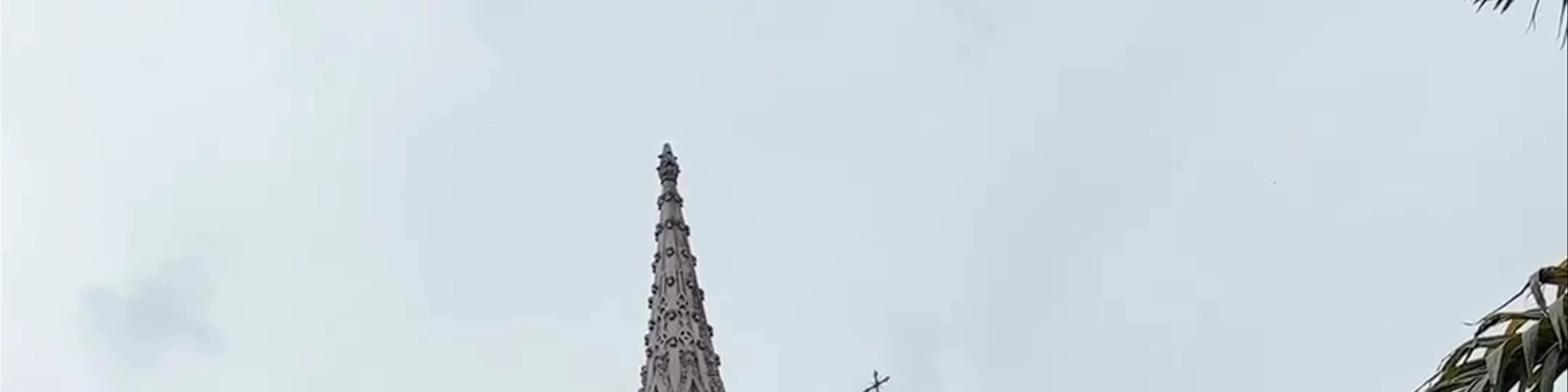 St. Joseph's Cathederal (St. Philomena's shrine)