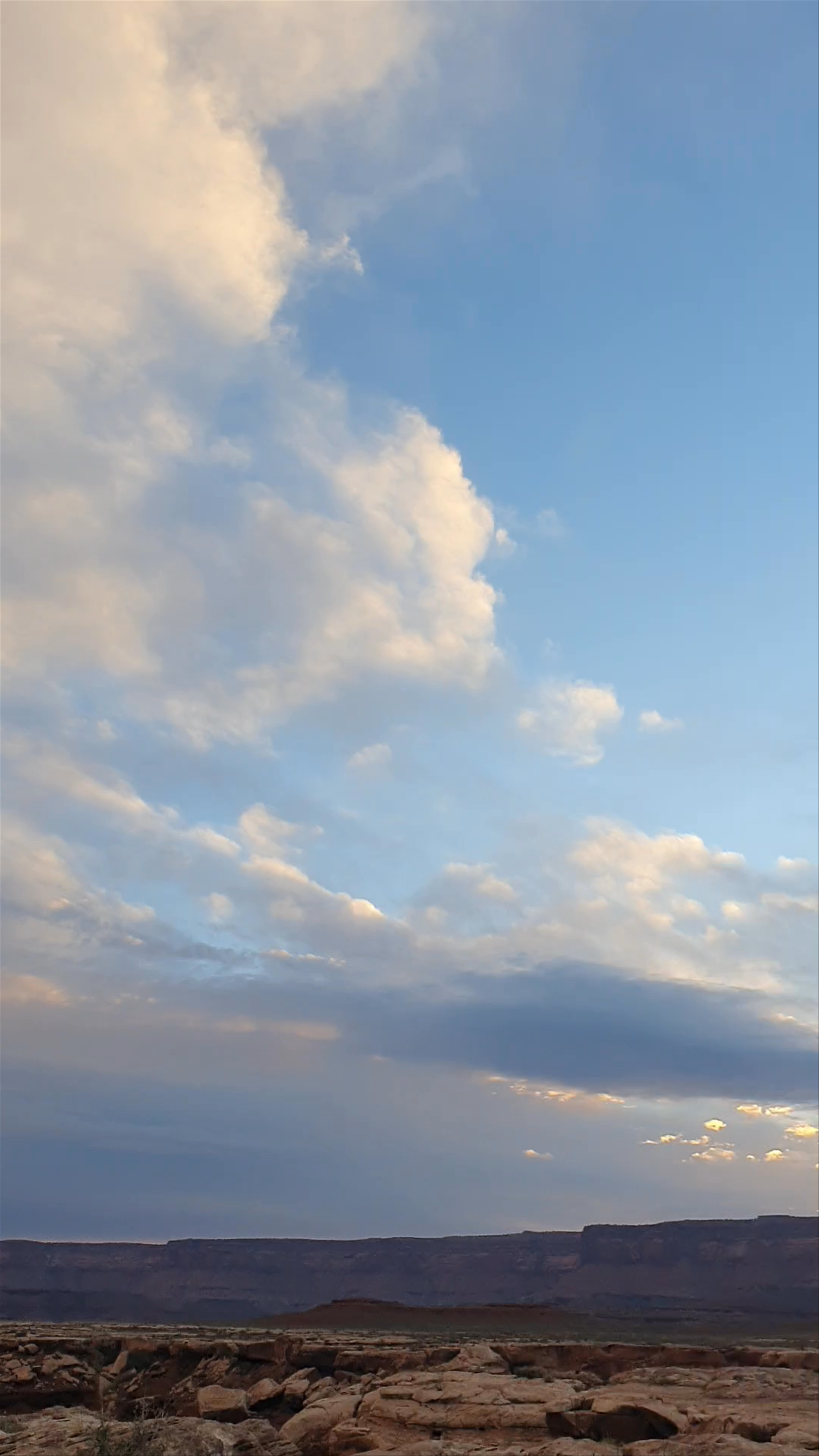 Airport Campground D, White Rim Road