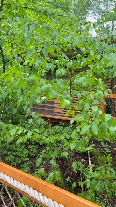 Tree Tops Restaurant - Brunch at Tree Tops - New American Near Me - Acme, Pennsylvania