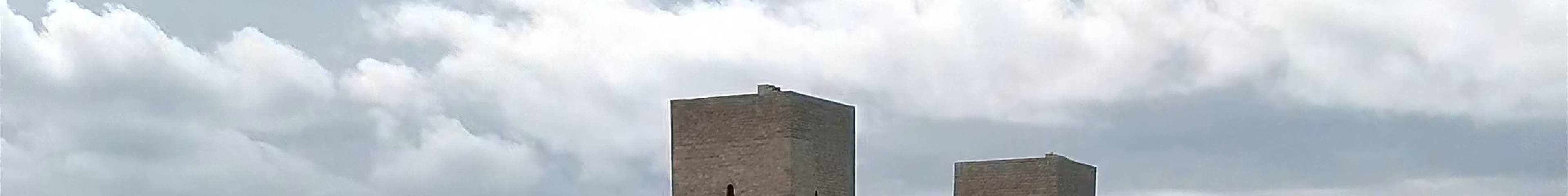 Tours & experiences in Trani