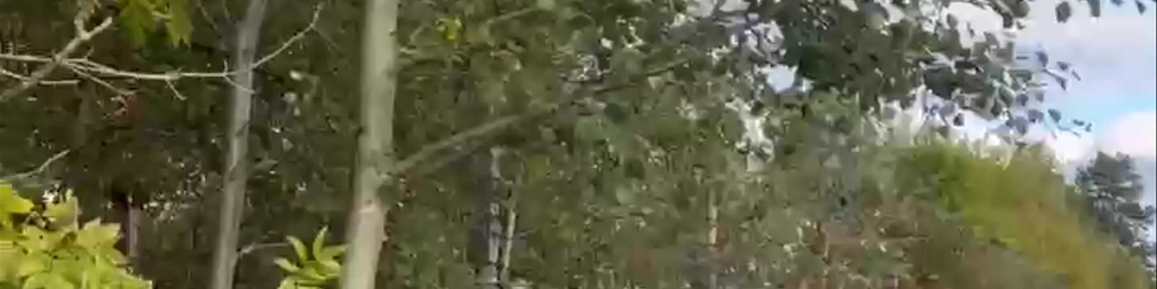 Murru vangla