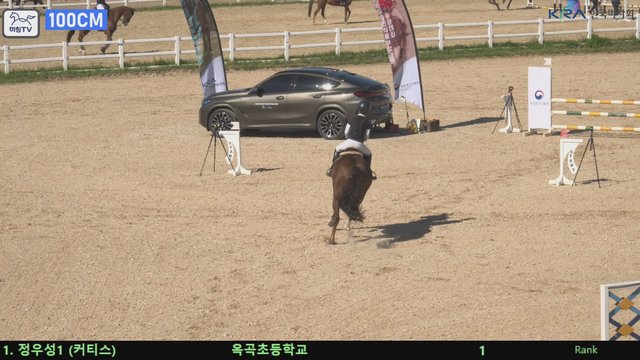 정우성1 (커티스) — 제20회 농림축산식품부장관배 승마대회 · 장애물 100cm