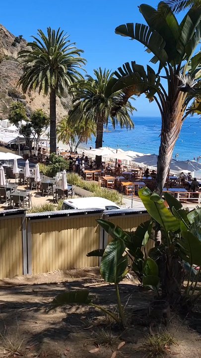 Catalina Tour Guide - Tours Near Me