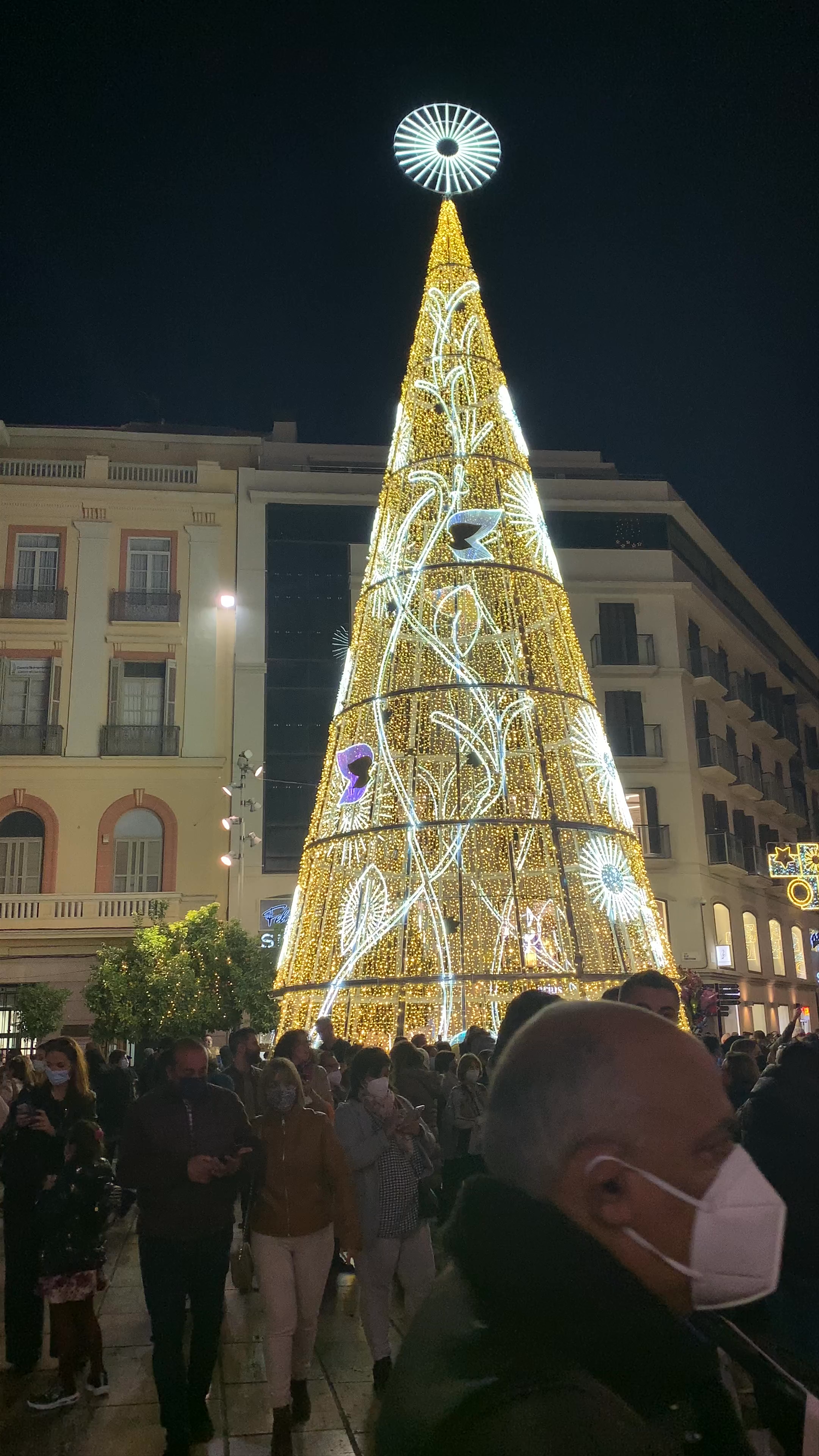 Festive Christmas Lights at Plaza de la Constitución, Málaga