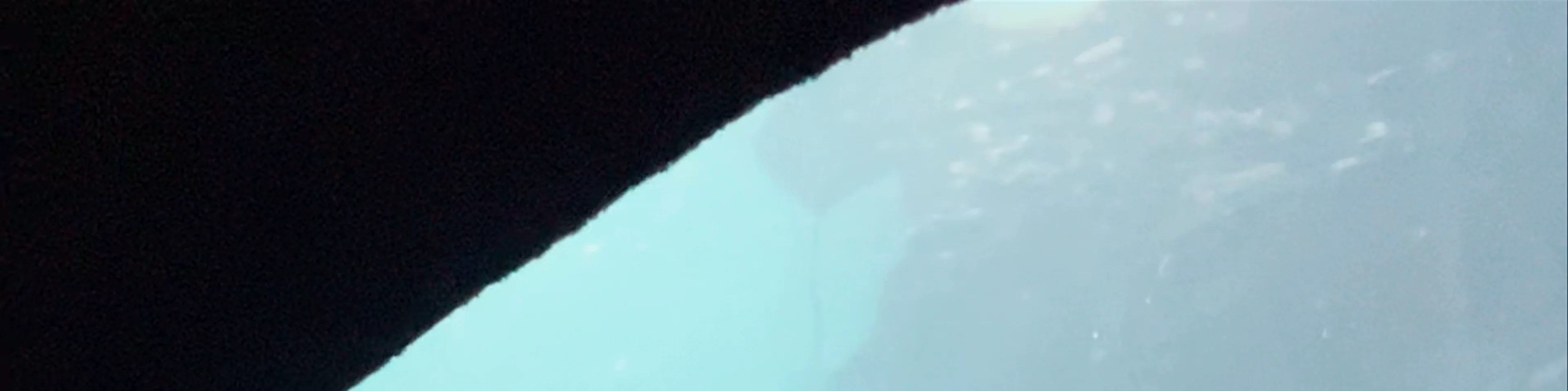 The Florida Aquarium