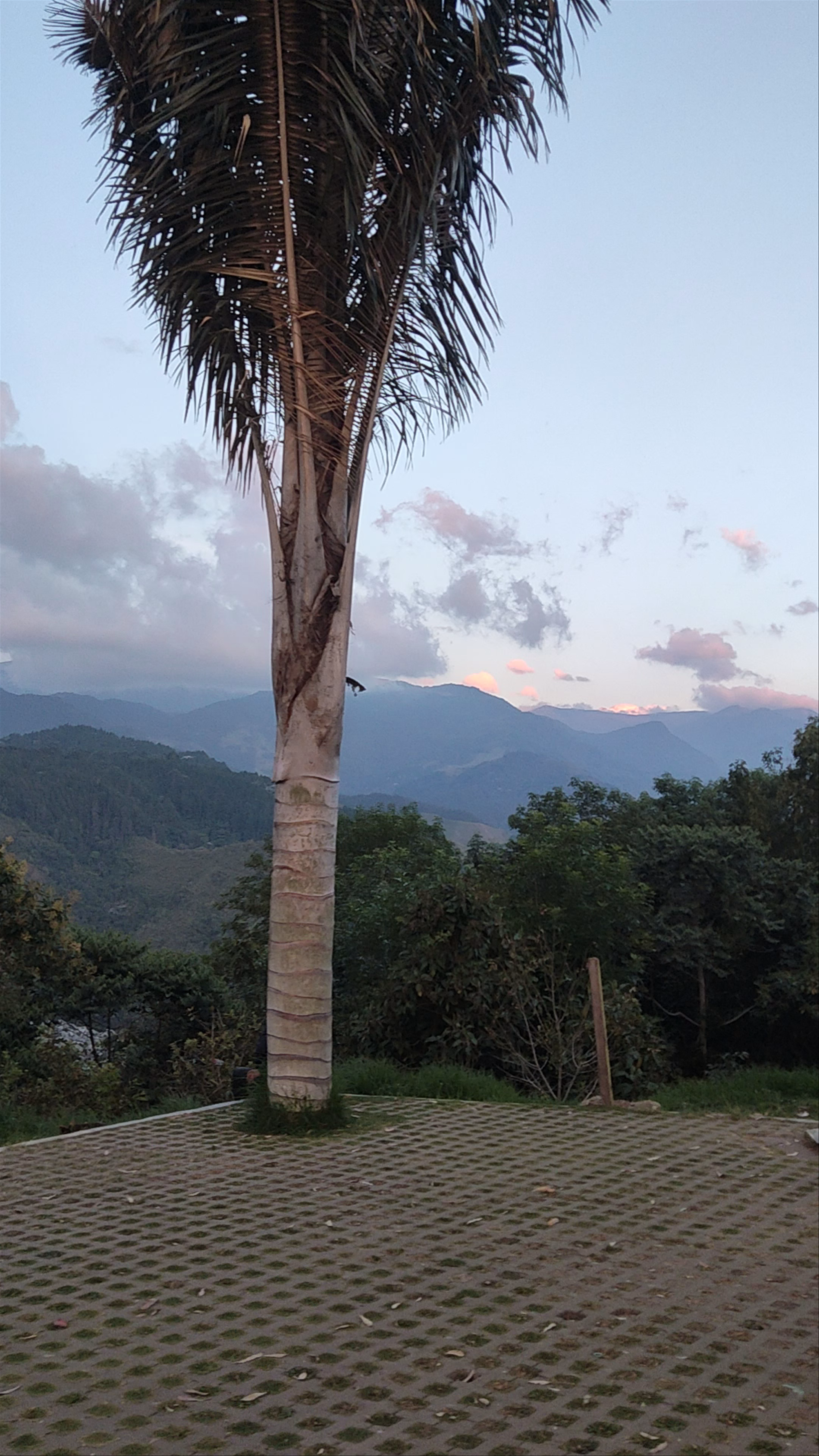 Mirador Alto de la Cruz
