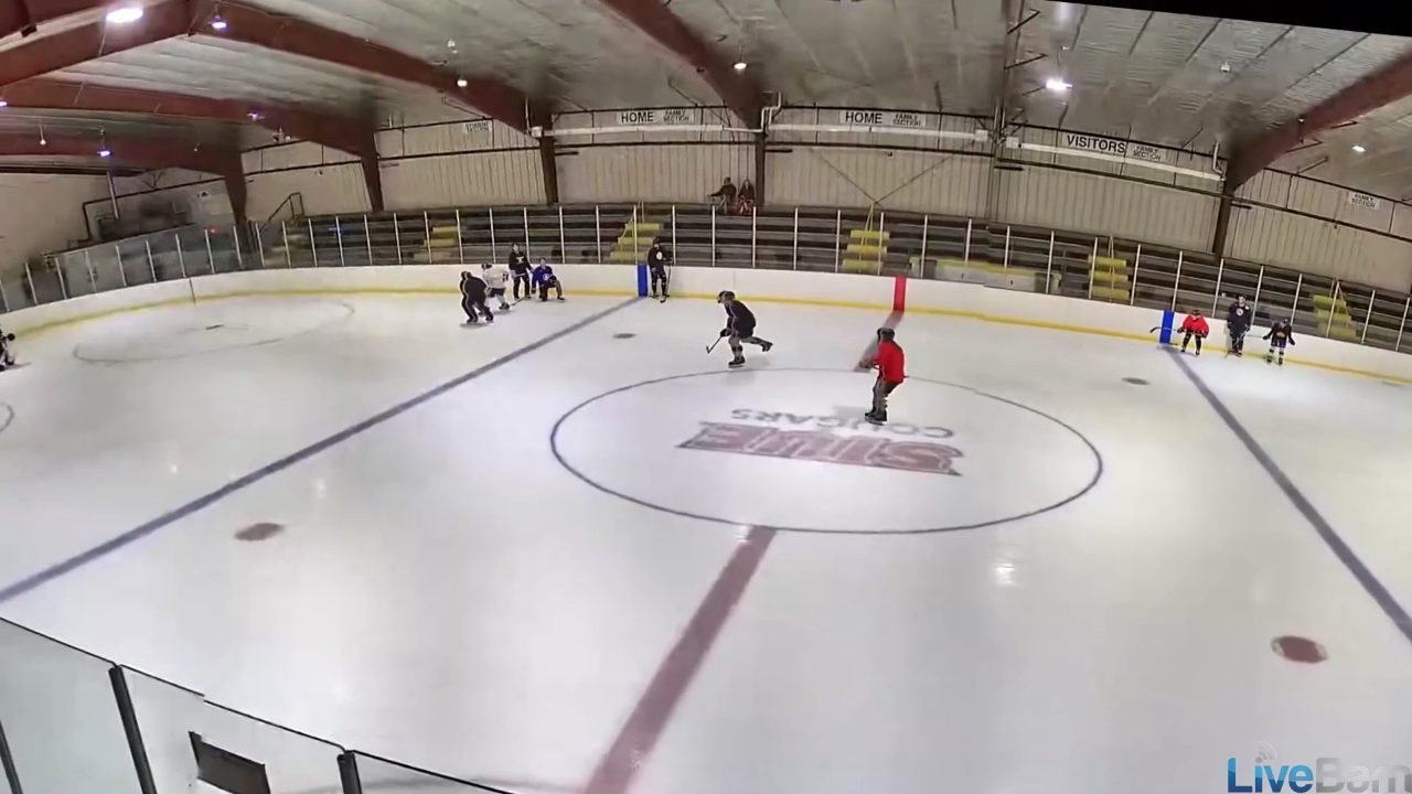 Andrew Mohesky: Elite Defensive Skills & Stickhandling Summer Training