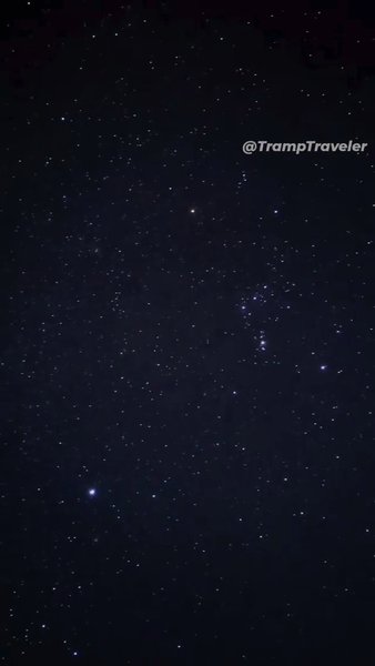 Photo of Young Night