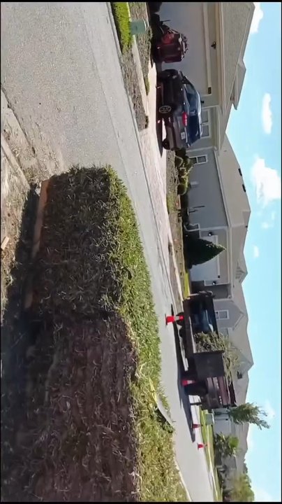 Lawn Geekz - Lawn Patch Work. - Landscaping Near Me