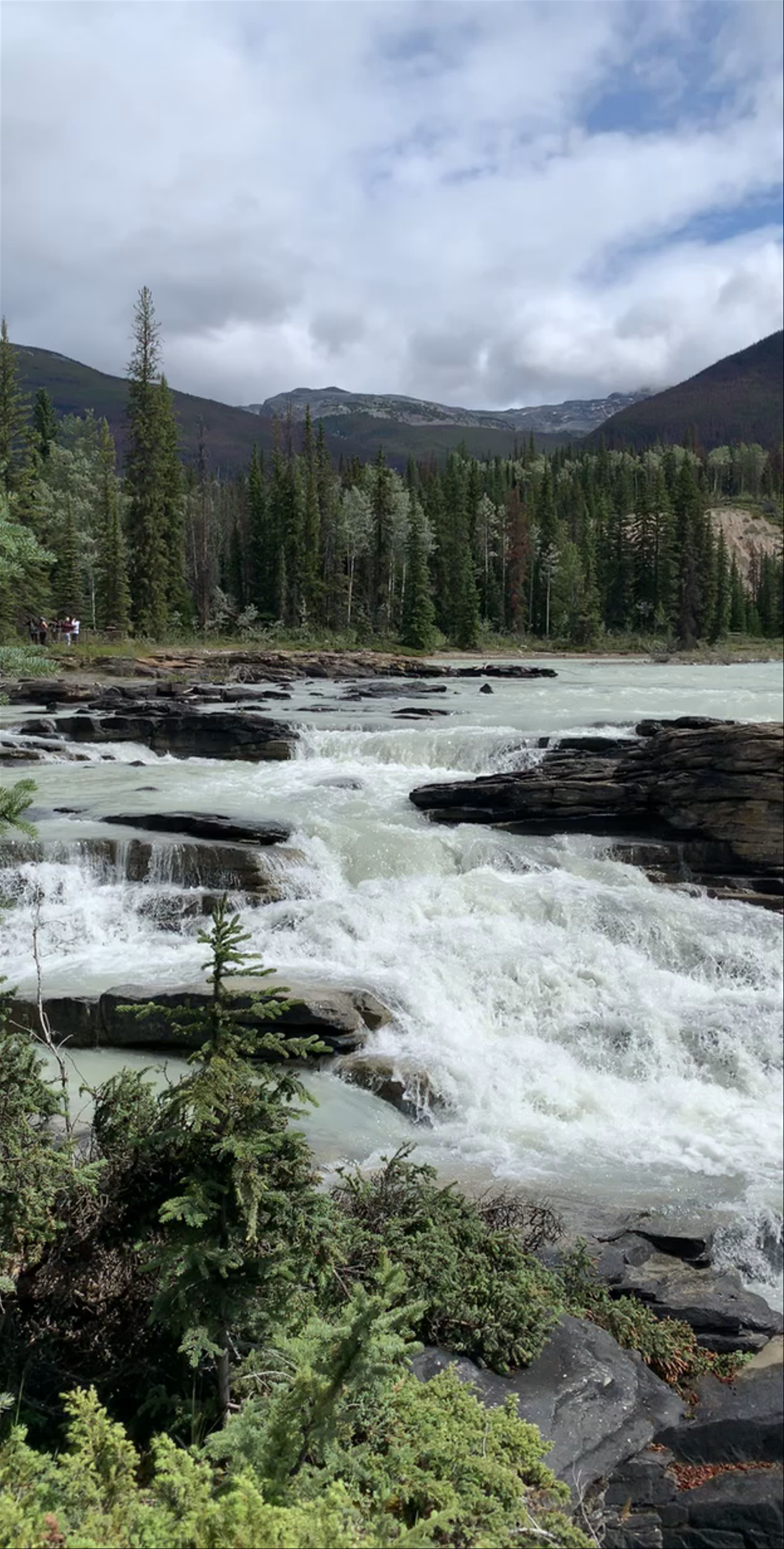 Athabasca Falls: Majestic Power and Serene Wilderness in Jasper