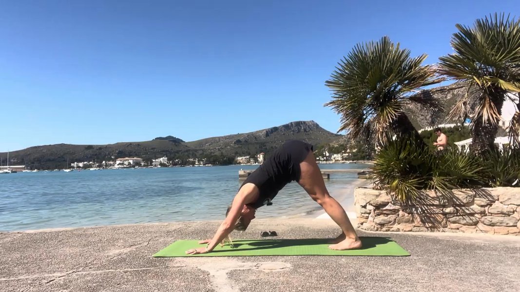 Lymphatic Vinyasa Flow 