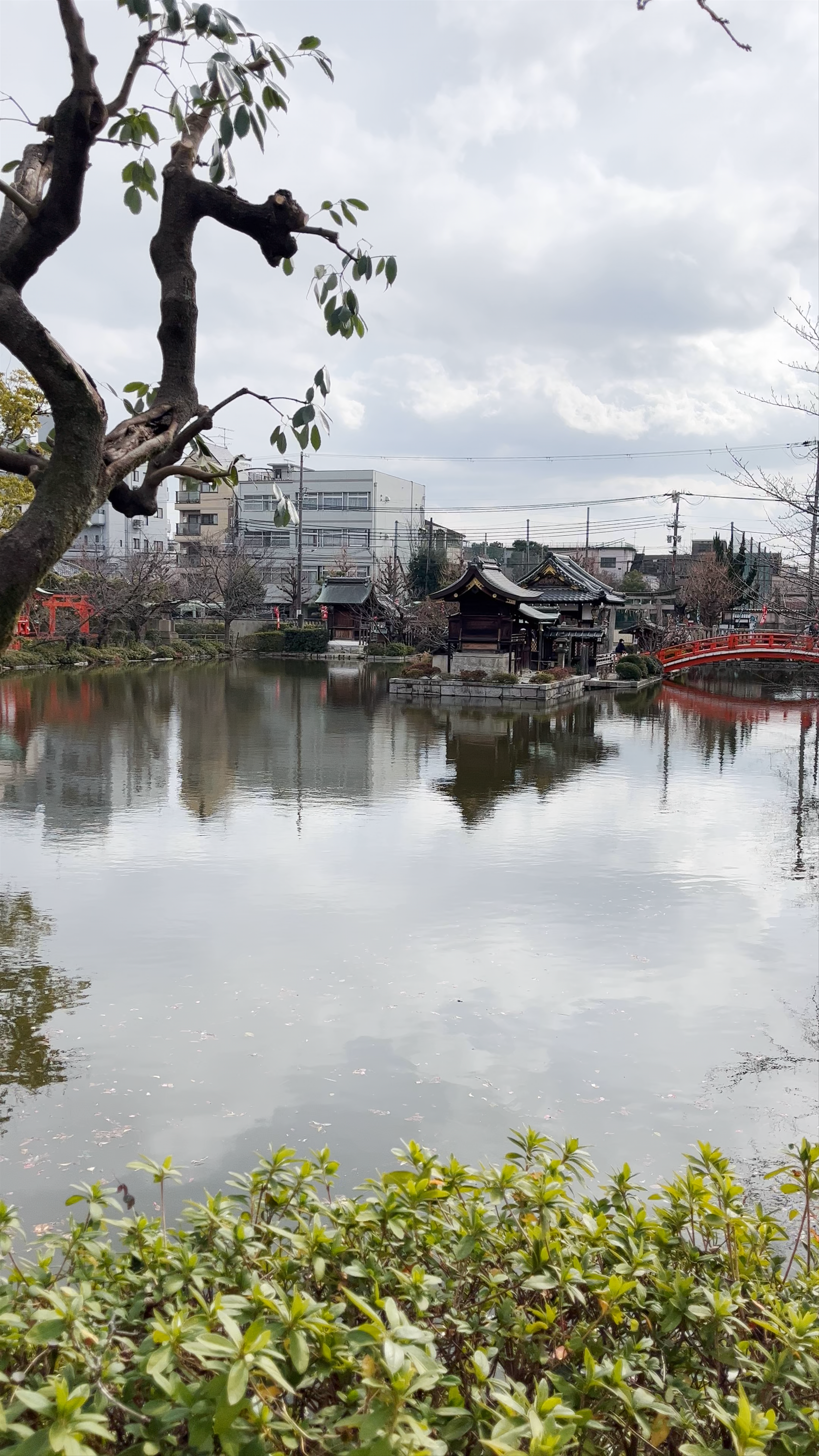 Zennyo Ryūō Shrine: Serene Spiritual Oasis in Kyoto
